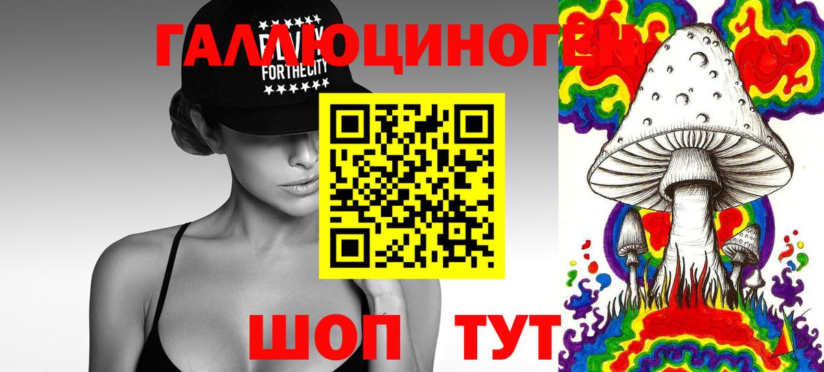Псилоцибиновые грибы Psilocybe  Вход с VPN  Кострома  Псилоцибиновые грибы Cubensis 