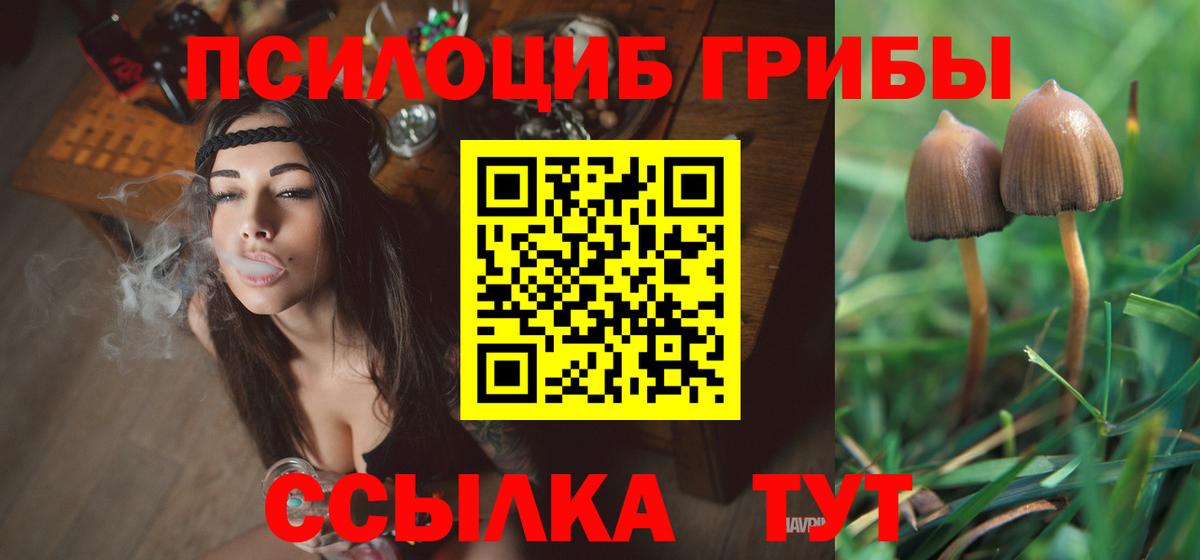 Псилоцибиновые грибы прущие грибы Кострома